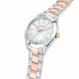 Dameur Sector ( 36 mm) #6