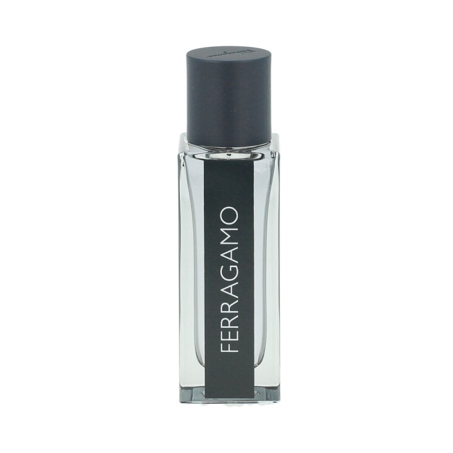 Herreparfume Salvatore Ferragamo Ferragamo EDT #2
