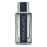 Herreparfume Salvatore Ferragamo FE21006 EDT 100 ml #1