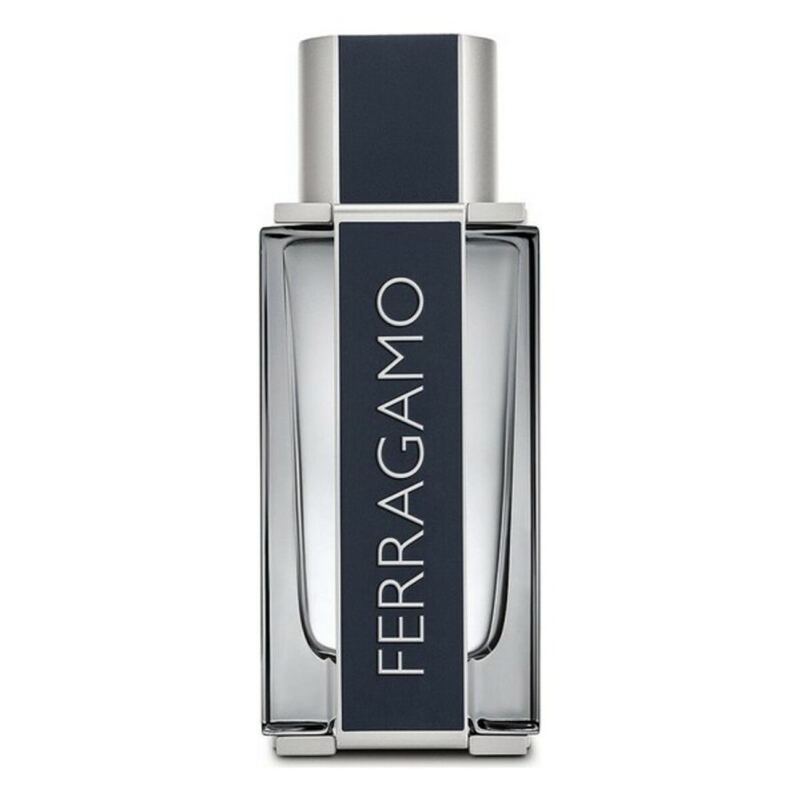 Herreparfume Salvatore Ferragamo FE21006 EDT 100 ml #1