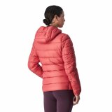Sportsjakke til damer Champion Hooded #5