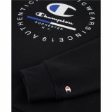 Sweaters uden Htte til Mnd Champion #4