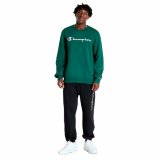 Sweaters uden Htte til Mnd Champion #2