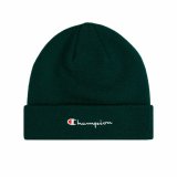 Hat Champion 806064-GS502 Multifarvet #1