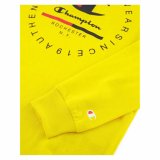 Langrmet T-shirt til Mnd Champion #3