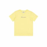 Brne Kortrmet T-shirt Champion SS Khaki #1