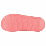 Klipklappere til brn Champion SQUIRT G TD Orange #4