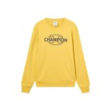 H�ttetr�je til M�nd Champion 221649-YS153 Gul #1