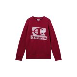 Sweaters uden H�tte til B�rn Champion Graphic Shop R�dbrun M�rker�d #1