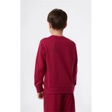 Sweaters uden H�tte til B�rn Champion Graphic Shop R�dbrun M�rker�d #3