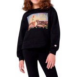 Tr�ningsdragt til b�rn Champion Sort #4