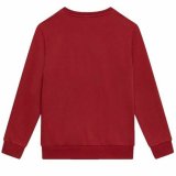 Sweatshirt til Brn Champion Crewneck Hvid Rd #2