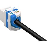 UTP kategori 6 stift netvrkskabel Techly 028580 Hvid #4