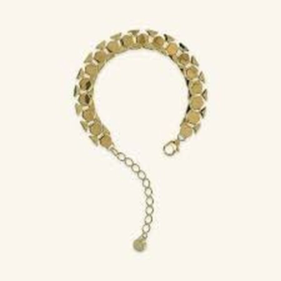 Dameur Etrusca WSET00837.YG #1