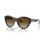 Solbriller til kvinder Jimmy Choo JC 5007 #1