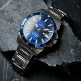 Herreur Sector ( 41 mm) #7