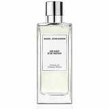 Herreparfume Angel Schlesser 150 ml #2