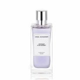 Dameparfume Angel Schlesser LES EAUX D'UN INSTANT EDT 150 ml Les eaux d'un instant Luminous Violet #1