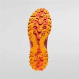 L�besko til voksne La Sportiva Bushido III #3