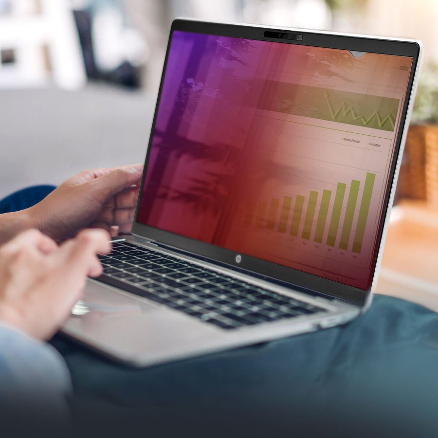 Vgmonteret rack kabinet Startech 156G-PRIVACY-SCREEN #1