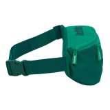 Bltetaske Real Betis Balompi Grn Turkis Grn Sportslig 23 x 12 x 9 cm #2