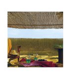 Havehegn EDM 75816 Brun Bambus 1 x 5 m #2