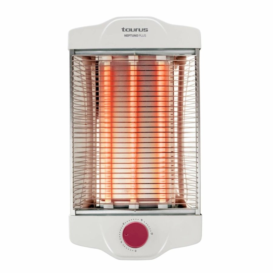 Brdrister Taurus Neptuno Plus 900 W #5