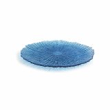 Flad Plade Quid Mar De Viento Bl Glas  28 cm (6 enheder) (Pack 6x) #1