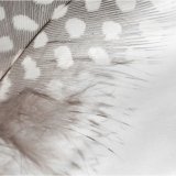 Pudebetrk HappyFriday Light Multifarvet 60 x 70 cm #2