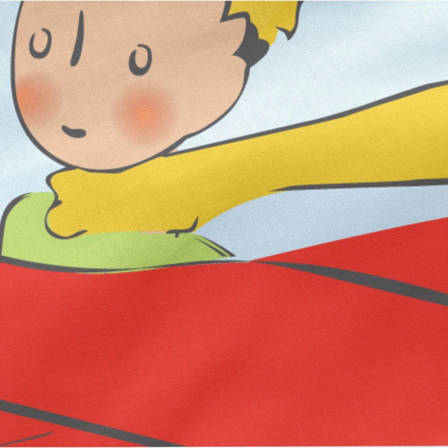 Vatteret sengetj med lynls HappyFriday Le Petit Prince Son Avion Multifarvet 105 x 200 cm #5