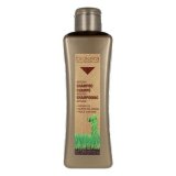 Forfriskende Shampoo Biokera Arganology Salerm 3001 300 ml #1