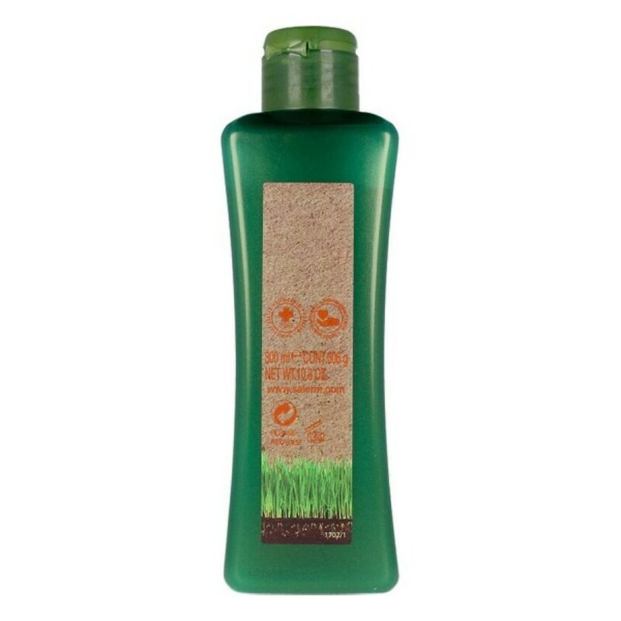Shampoo til farvebevaring Biokera Natura Salerm Macadamiand (300 ml) #1