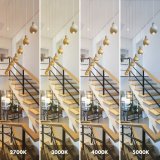 LED-lampe Silver Electronics 999007 R90 E27 Gr 12 W 3000K #5