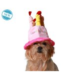 Hundedragt Pink Hat Fdselsdag #2