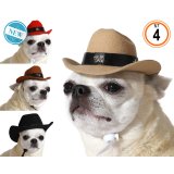 Hundedragt Hat Politi #2