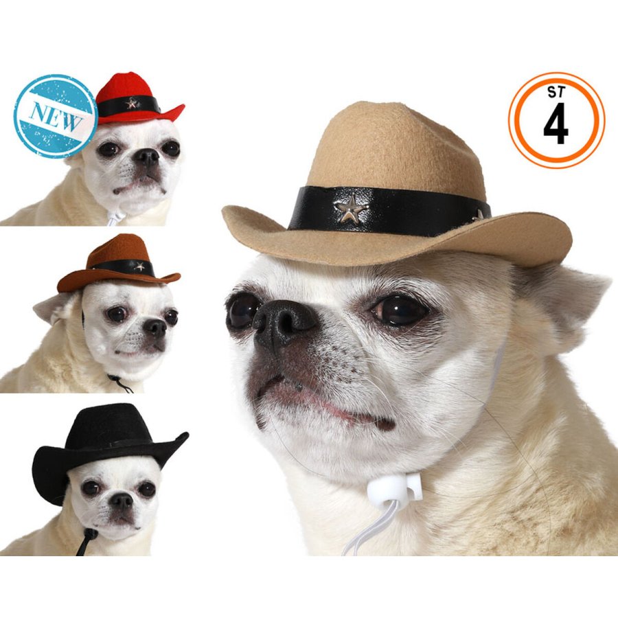 Hundedragt Hat Politi #2