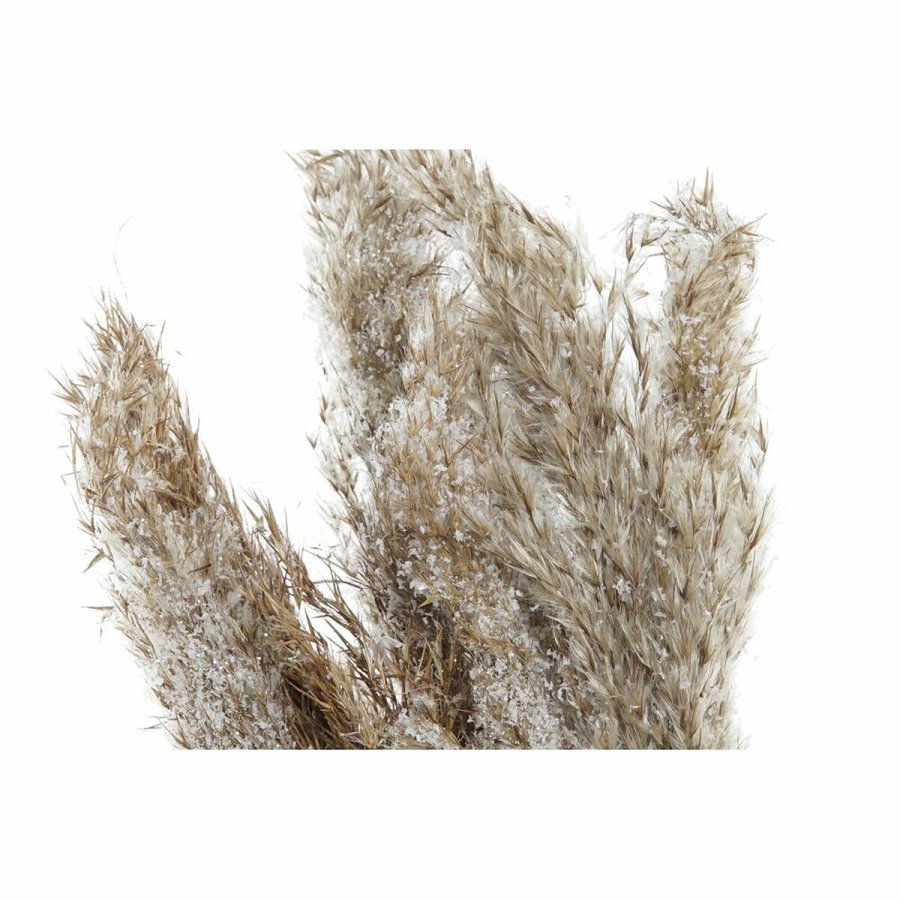 Dekorativ plante DKD Home Decor Fjer PVC Fiber (35 x 25 x 55 cm) (2 enheder) #5