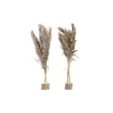 Dekorativ plante DKD Home Decor Fjer PVC Fiber (35 x 25 x 55 cm) (2 enheder) #1