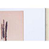 Vg billedramme DKD Home Decor Krystal Natur Hvid Tr MDF Boho (32,5 x 1,5 x 45 cm) #5