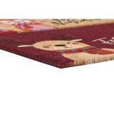 Drmtte DKD Home Decor Rd Multifarvet PVC Kokosnd Fiber 60 x 40 x 1,5 cm (2 enheder) #5