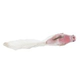 Julepynt DKD Home Decor Multifarvet Fugl 25 x 7 x 6 cm (3 enheder) #9
