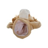 Bamse Home ESPRIT Brun 20 x 20 x 25 cm (3 enheder) #3