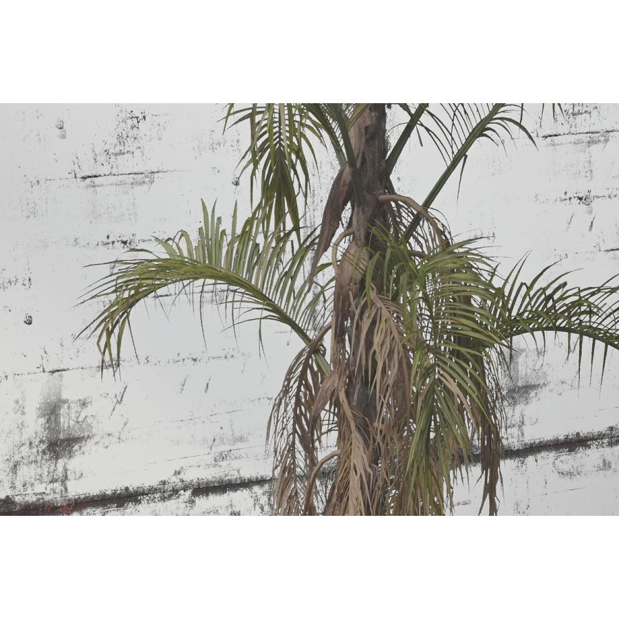 Vgspejl Home ESPRIT Grn Gylden Kolonistil 60 x 4 x 120 cm #3