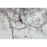 Vgspejl Home ESPRIT Sort Gylden Orientalsk 60 x 4 x 120 cm #3