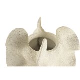 Vase Home ESPRIT Beige Harpiks Shabby Chic 26 x 26 x 50 cm #4