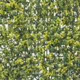 Hegn   50 x 50 x 2 cm #3