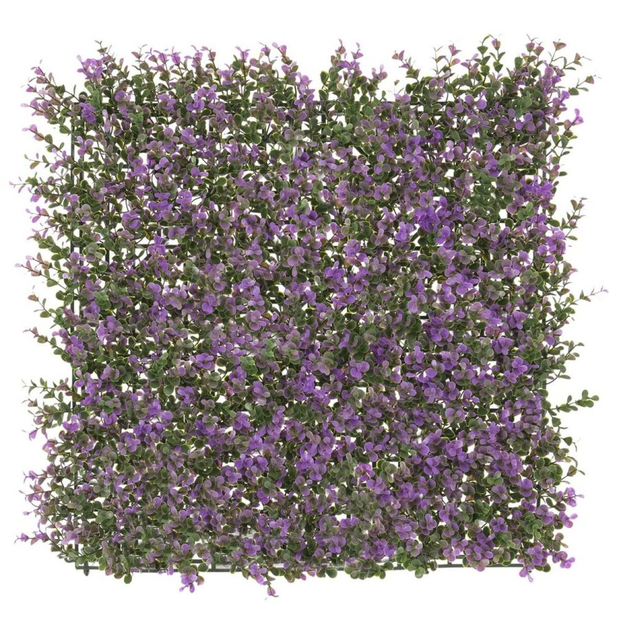 Hegn   Lavendel 50 x 50 x 2 cm #1