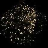 LED guirlande 9 m 3,6 W #2