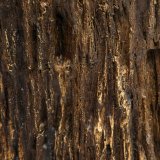 Sofabord 100 x 100 x 40 cm #3