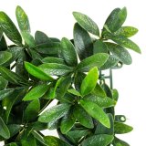 Hegn   Ark 50 x 50 x 2 cm #4